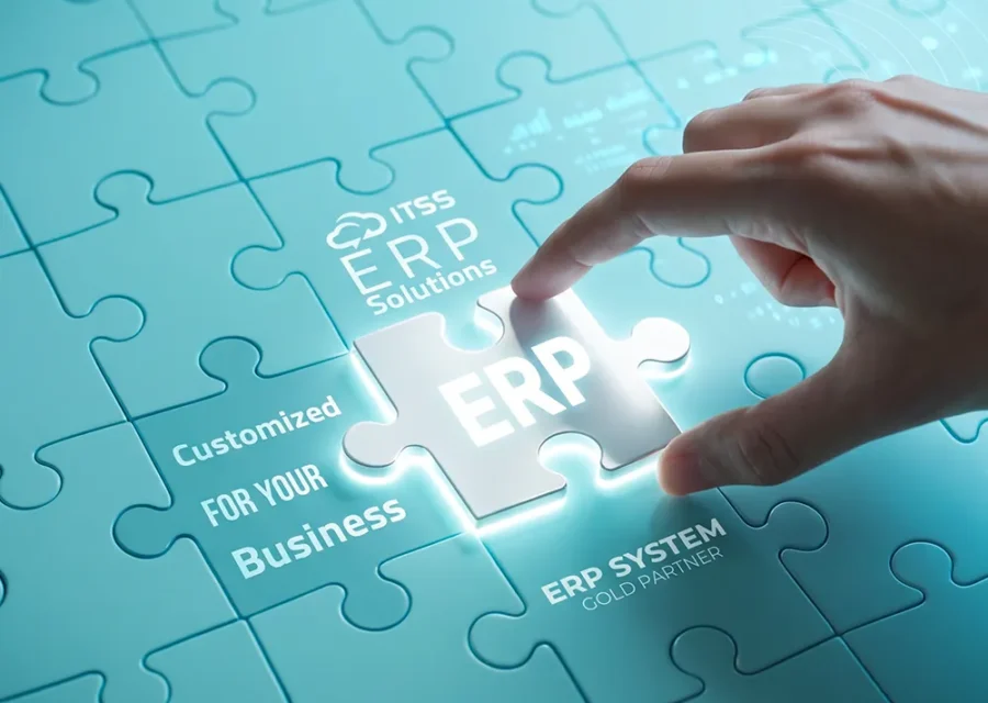ERP Systems