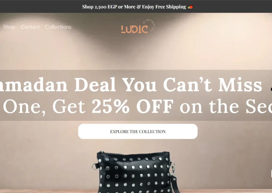 Ludic e-commerce website designed by Qlegy
